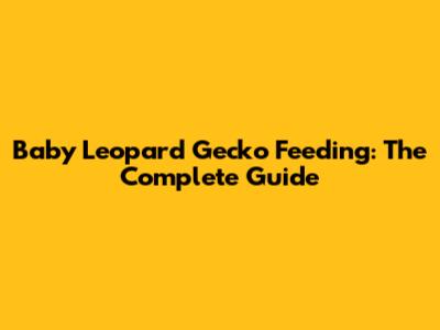 Baby Leopard Gecko Feeding: The Complete Guide
