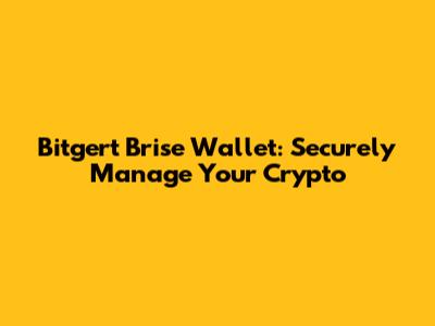 Bitgert Brise Wallet: Securely Manage Your Crypto