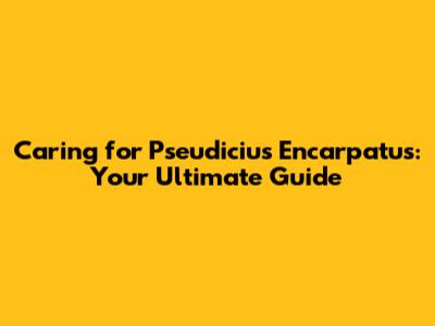 Caring for Pseudicius Encarpatus: Your Ultimate Guide