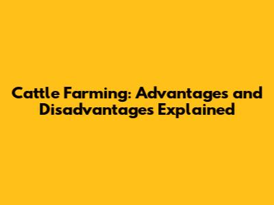 Cattle Farming: Advantages and Disadvantages Explained