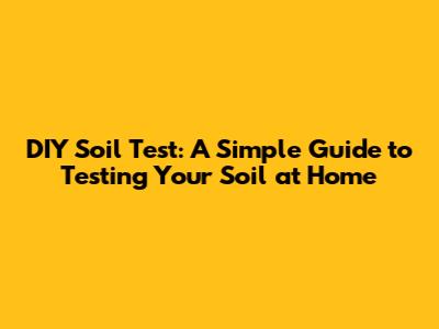 DIY Soil Test: A Simple Guide to Testing Your Soil at Home