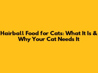Hairball Food for Cats: What It Is & Why Your Cat Needs It