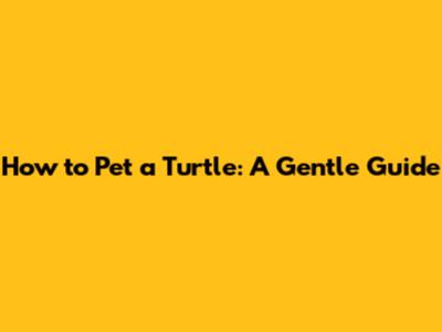 How to Pet a Turtle: A Gentle Guide