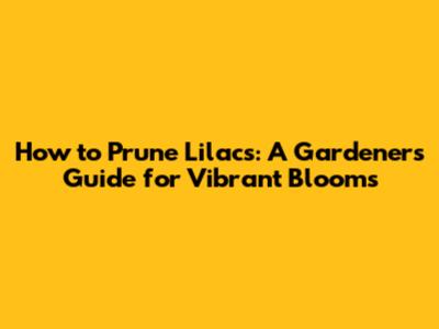 How to Prune Lilacs: A Gardener's Guide for Vibrant Blooms