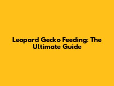 Leopard Gecko Feeding: The Ultimate Guide