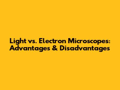Light vs. Electron Microscopes: Advantages & Disadvantages