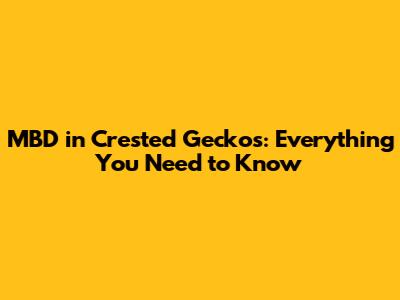 MBD in Crested Geckos: Everything You Need to Know