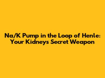 Na/K Pump in the Loop of Henle: Your Kidney's Secret Weapon