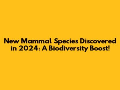 New Mammal Species Discovered in 2024: A Biodiversity Boost!