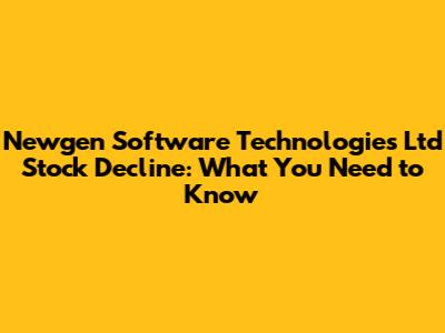 Newgen Software Technologies Ltd Stock Decline: What You Need to Know