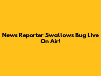 News Reporter Swallows Bug Live On Air!