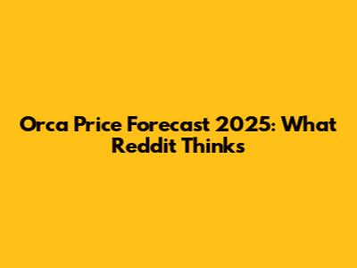 Orca Price Forecast 2025: What Reddit Thinks