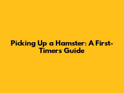 Picking Up a Hamster: A First-Timer's Guide