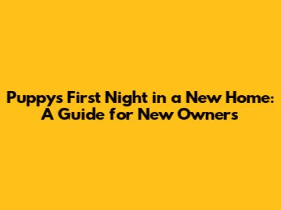 Puppy's First Night in a New Home: A Guide for New Owners