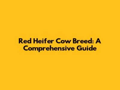 Red Heifer Cow Breed: A Comprehensive Guide