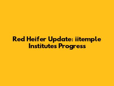 Red Heifer Update: iitemple Institute's Progress