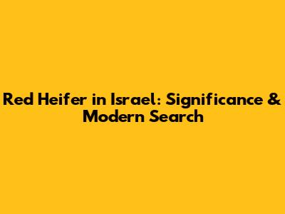 Red Heifer in Israel: Significance & Modern Search