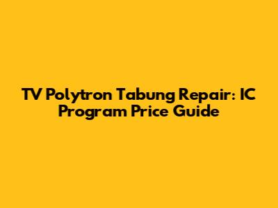 TV Polytron Tabung Repair: IC Program Price Guide