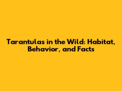 Tarantulas in the Wild: Habitat, Behavior, and Facts