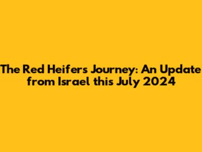 The Red Heifer's Journey: An Update from Israel this July 2024