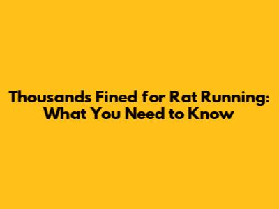 Thousands Fined for Rat Running: What You Need to Know