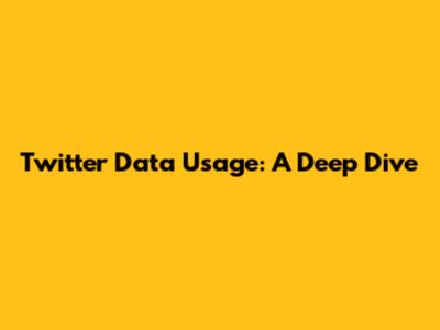 Twitter Data Usage: A Deep Dive