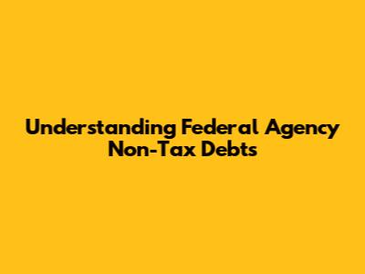 Understanding Federal Agency Non-Tax Debts