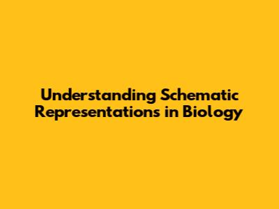 Understanding Schematic Representations in Biology
