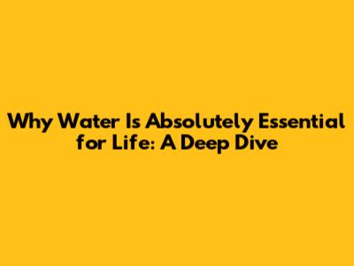 Why Water Is Absolutely Essential for Life: A Deep Dive